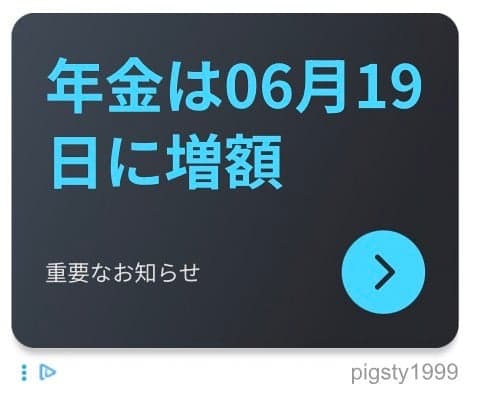 大阪の古着屋 Pigsty(公式) | の関連画像 2