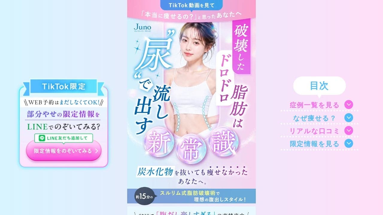 破壊したドロドロ脂肪は”尿”で流し出す スルリム注射 8月末までのサマーキャンペーン中! 1部位目4,900円(税込) の関連画像 1