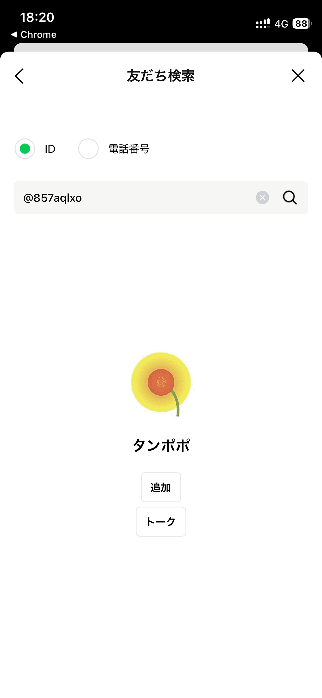 タンポポ の関連画像 3