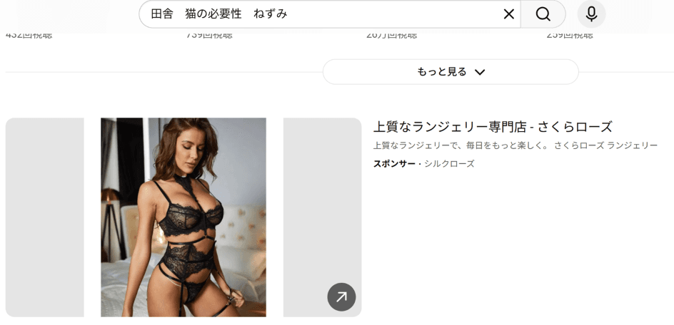 YouTube の関連画像 2