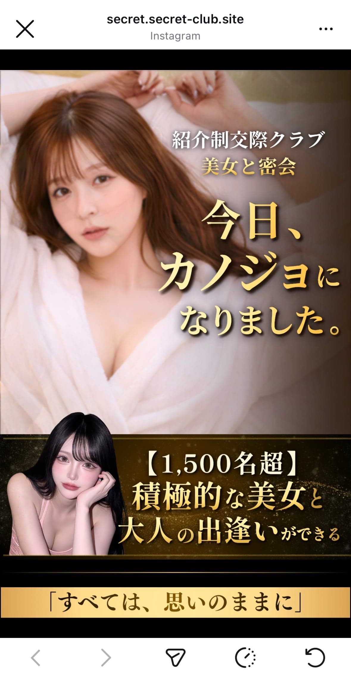 back_0323_meta_yk の関連画像 2
