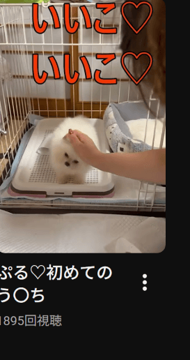 https://www.youtube.com/results?search_query=poo&theme=dark の関連画像 1