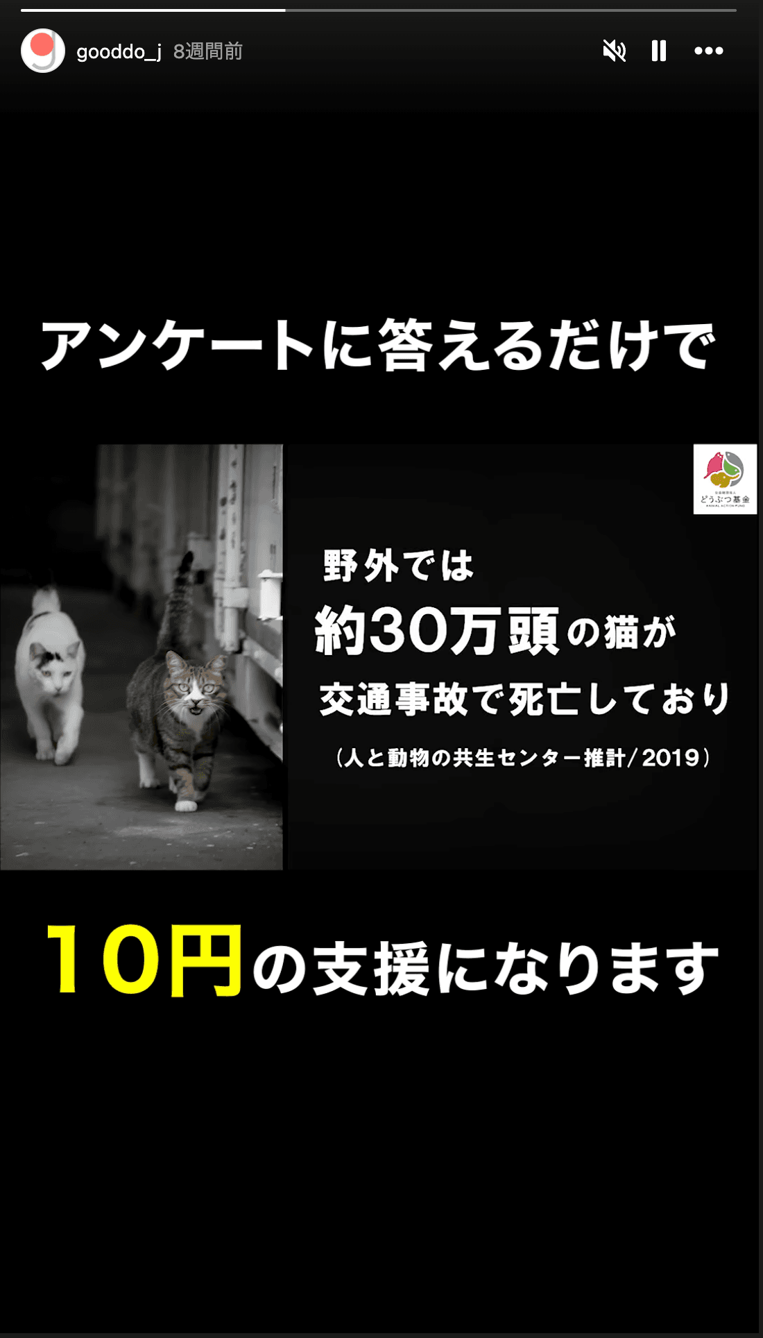 Instagram の関連画像 1